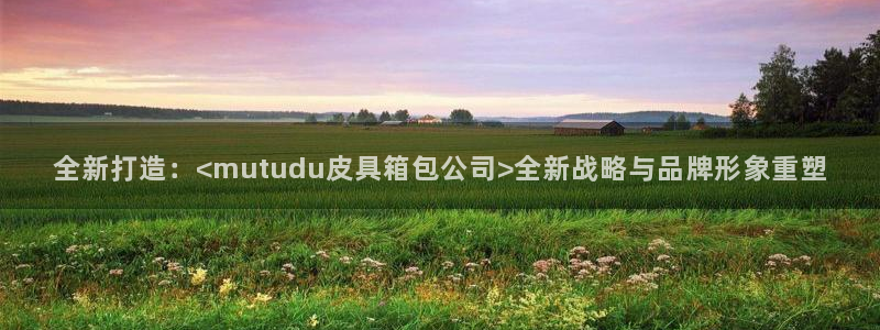 娱乐从琳琅榜开始的小说