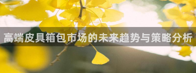 琳琅娱乐工作室怎么样