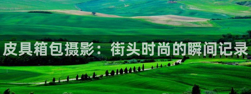 琳琅科技娱乐机器人