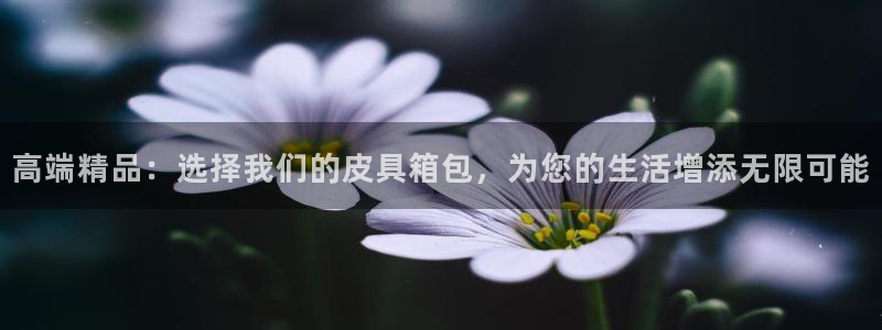 琳琅娱乐放心33300