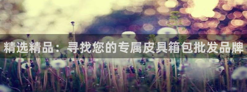 琳琅社区综艺文化娱乐