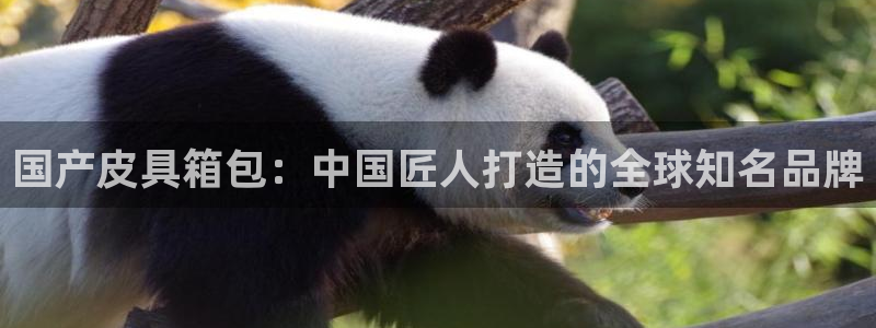 琳琅娱乐在线注册