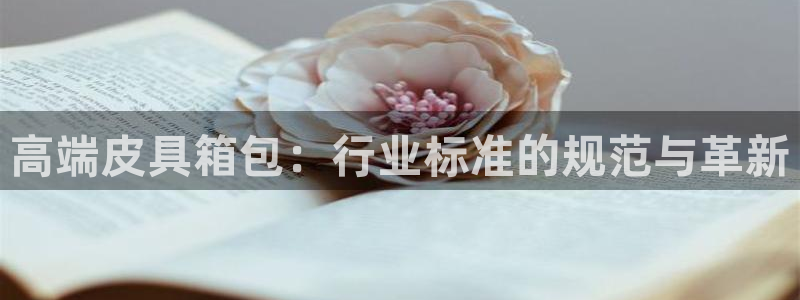 琳琅科技娱乐机器人插件