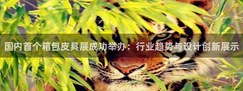 琳琅娱乐组飞车