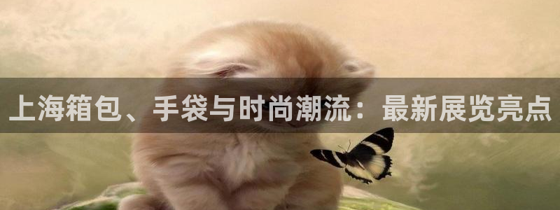 娱乐从琳琅榜开始的小说