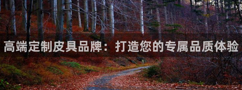 琳琅科技娱乐机器