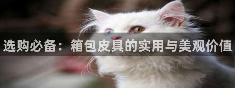 琳琅科技娱乐机器人下载