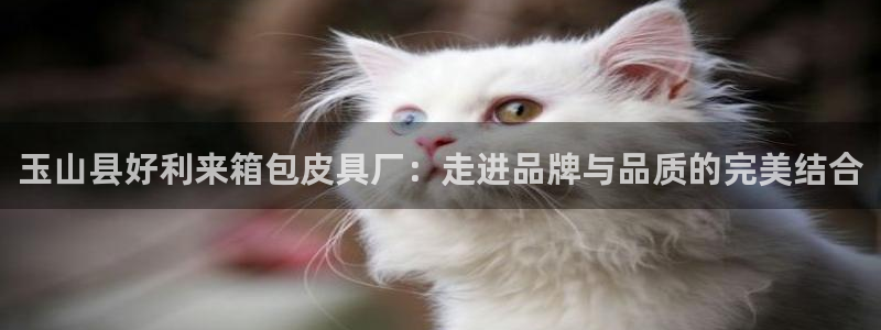 琳琅娱乐代理怎么样