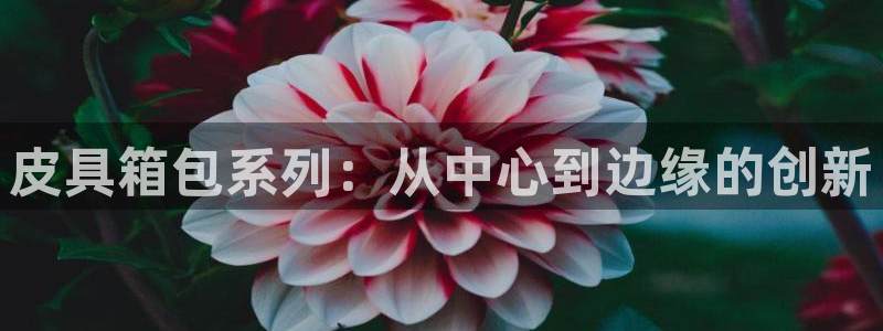 琳琅娱乐成年女人视频