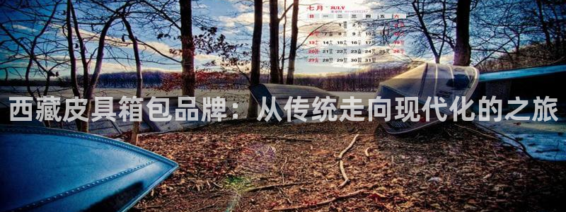 琳琅娱乐是什么