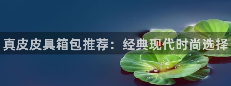 琳琅科技娱乐机器人