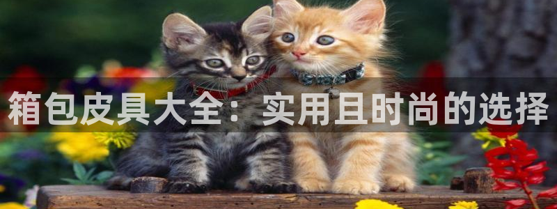 琳琅娱乐组飞车