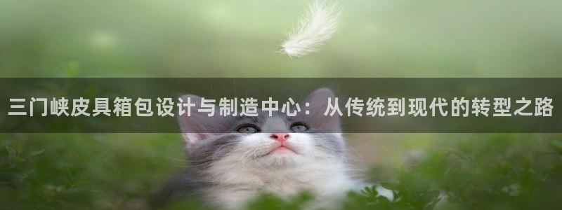 琳琅作者娱乐圈女主