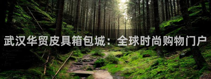 琳琅科技qq娱乐机器人