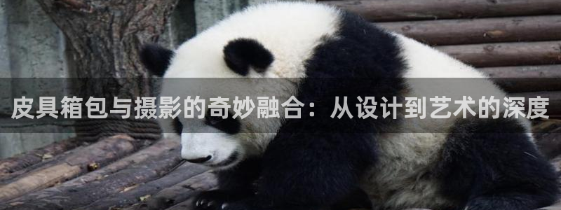 琳琅娱乐工作室地址查询