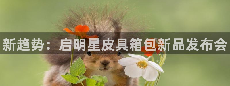 琳琅国际娱乐会所电话