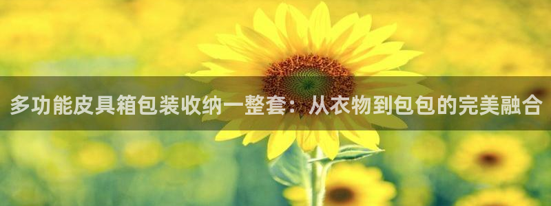 琳琅科技娱乐机器人插件