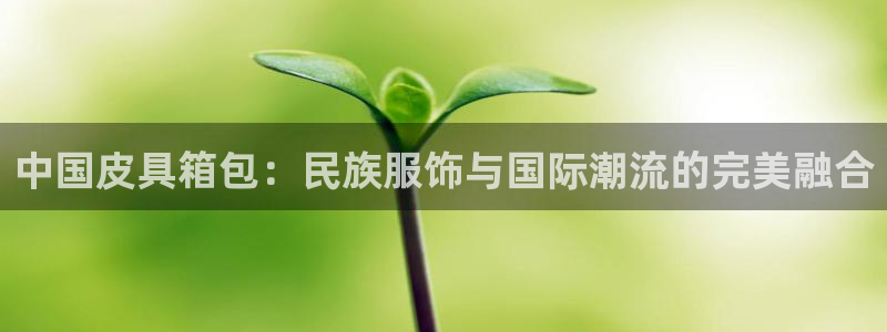 qq飞车琳琅娱乐组