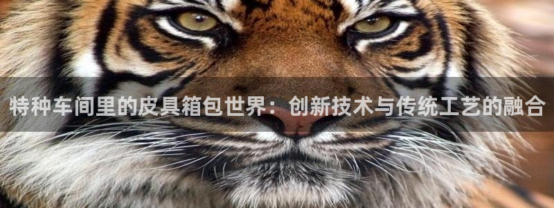 琳琅娱乐代理注册