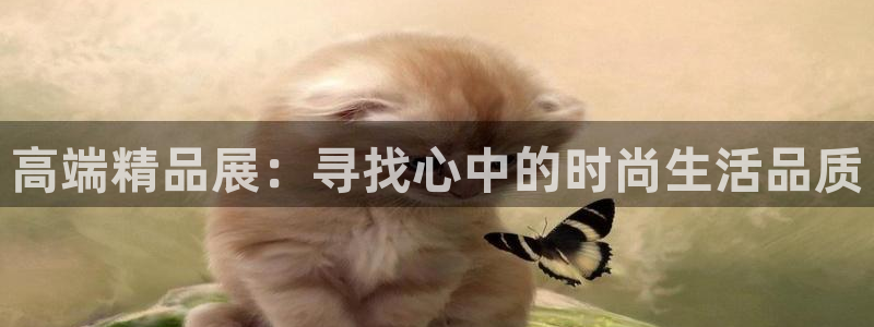 琳琅娱乐是什么
