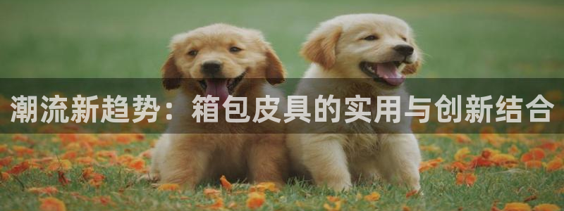 琳琅说娱乐