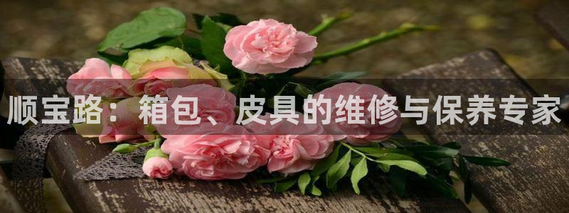 琳琅社区文艺娱乐
