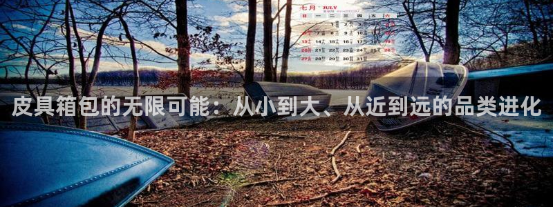 琳琅娱乐在哪直播的
