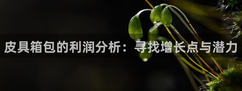 琳琅娱乐导航